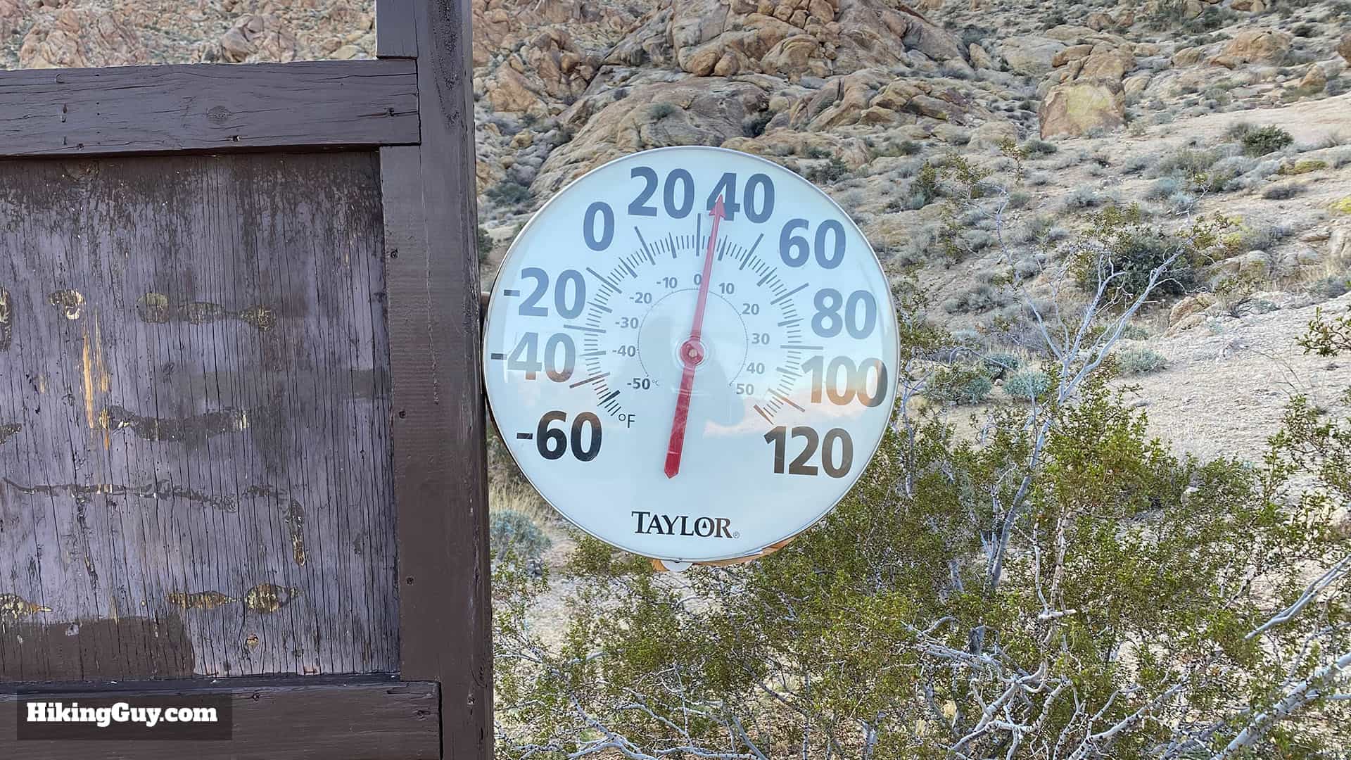 Hike 49 Palms Oasis Trail 4