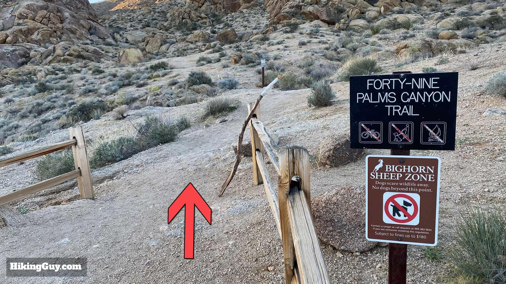 Hike 49 Palms Oasis Trail 5