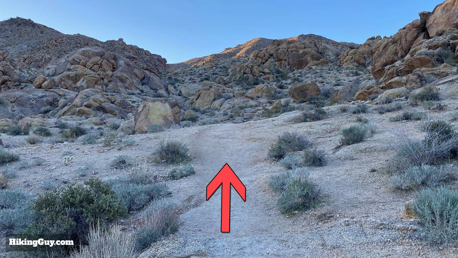 Hike 49 Palms Oasis Trail 7