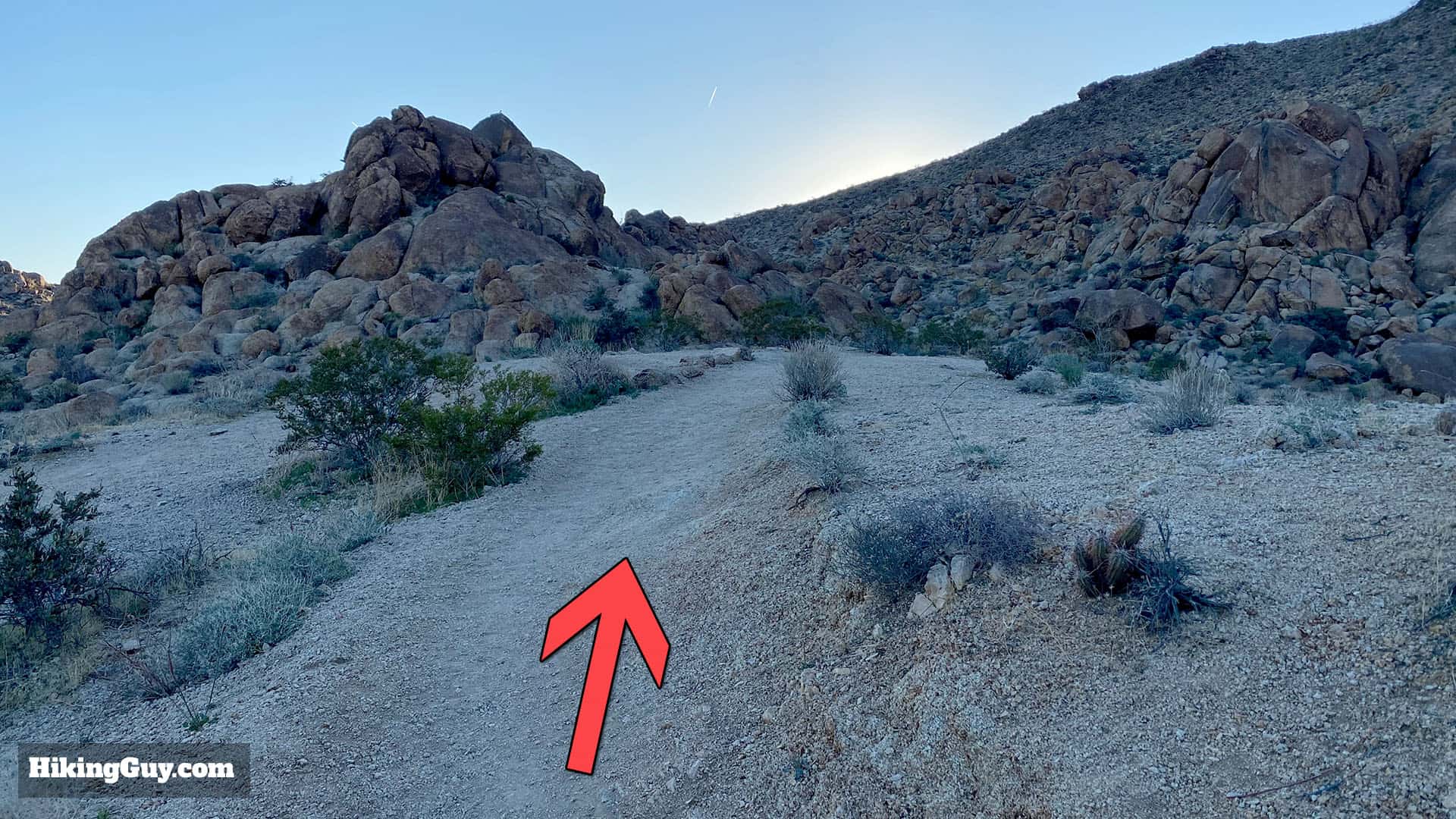 Hike 49 Palms Oasis Trail 8