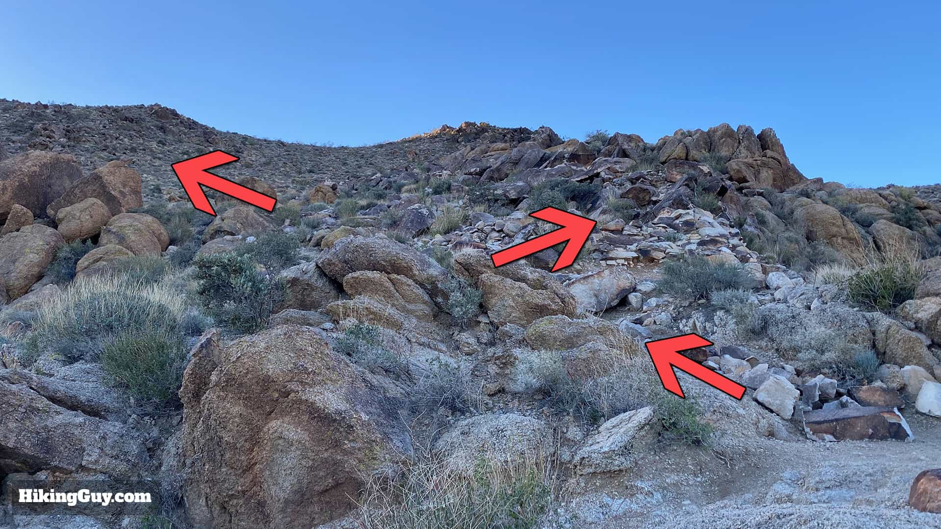 Hike 49 Palms Oasis Trail 9