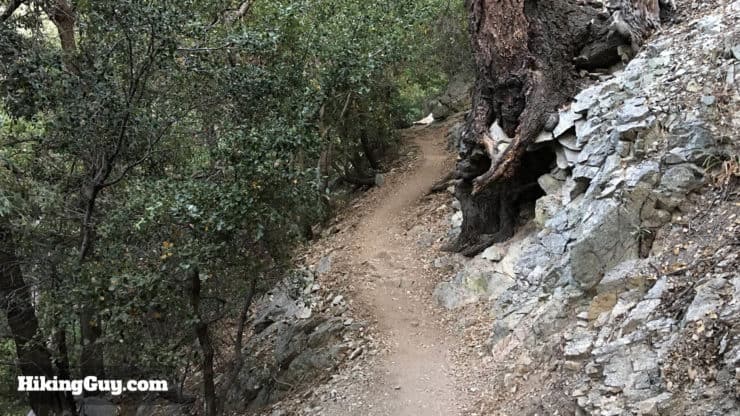 Bear Canyon trail 