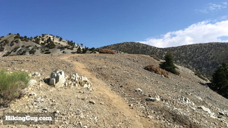 fire damage on bear canyon trail to mt baldy