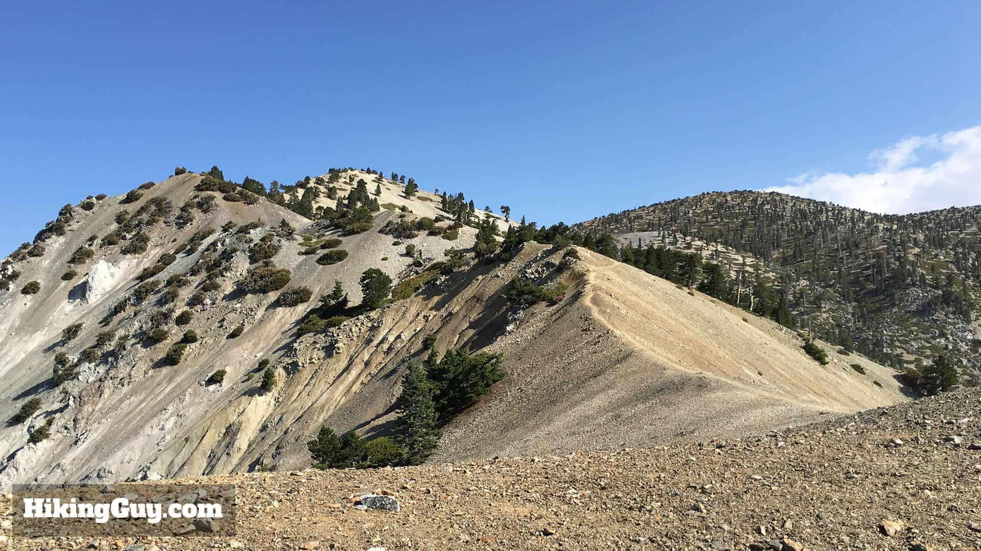fire damage on bear canyon trail to mt baldy
