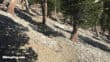 fire damage on bear canyon trail to mt baldy