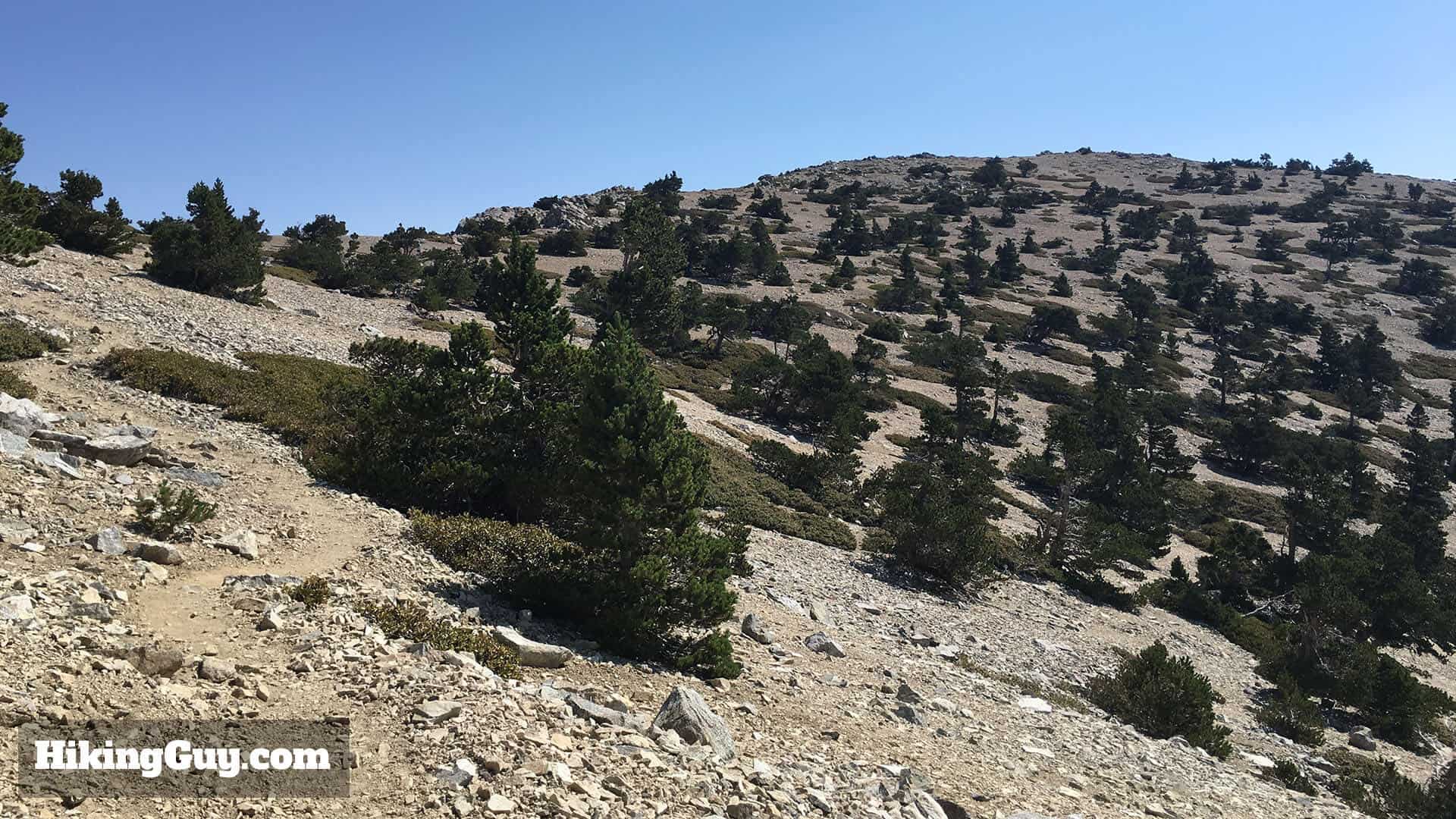 bear canyon trail to mt baldy