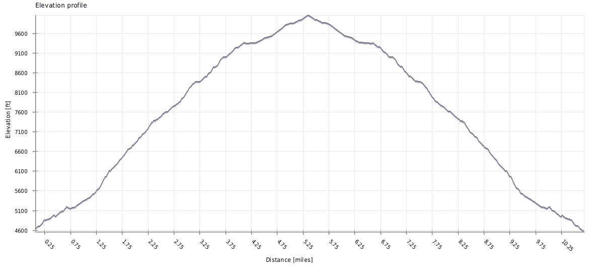 bear canyon trail to mt baldy elevation