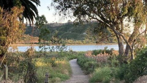 Hike Batiquitos Lagoon Trail