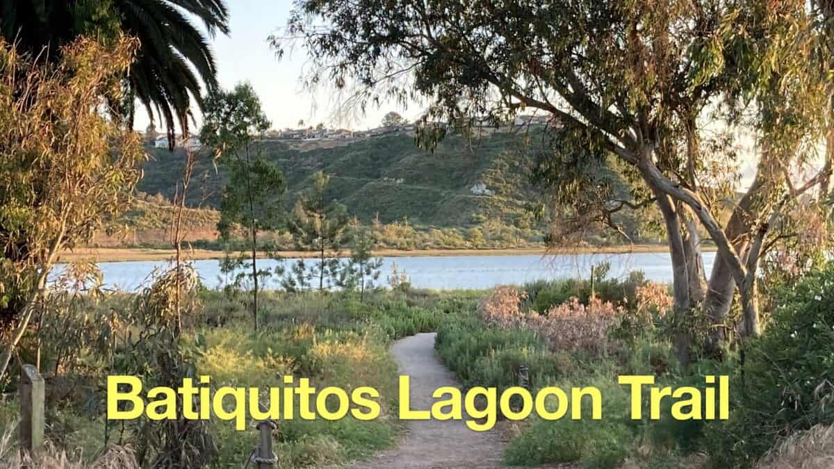 Hike Batiquitos Lagoon Trail