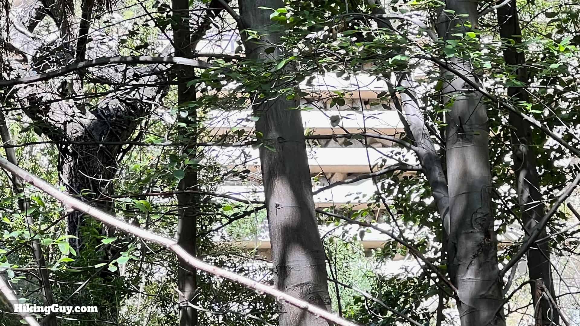 Hike Brown Mountain Dam Directons 24