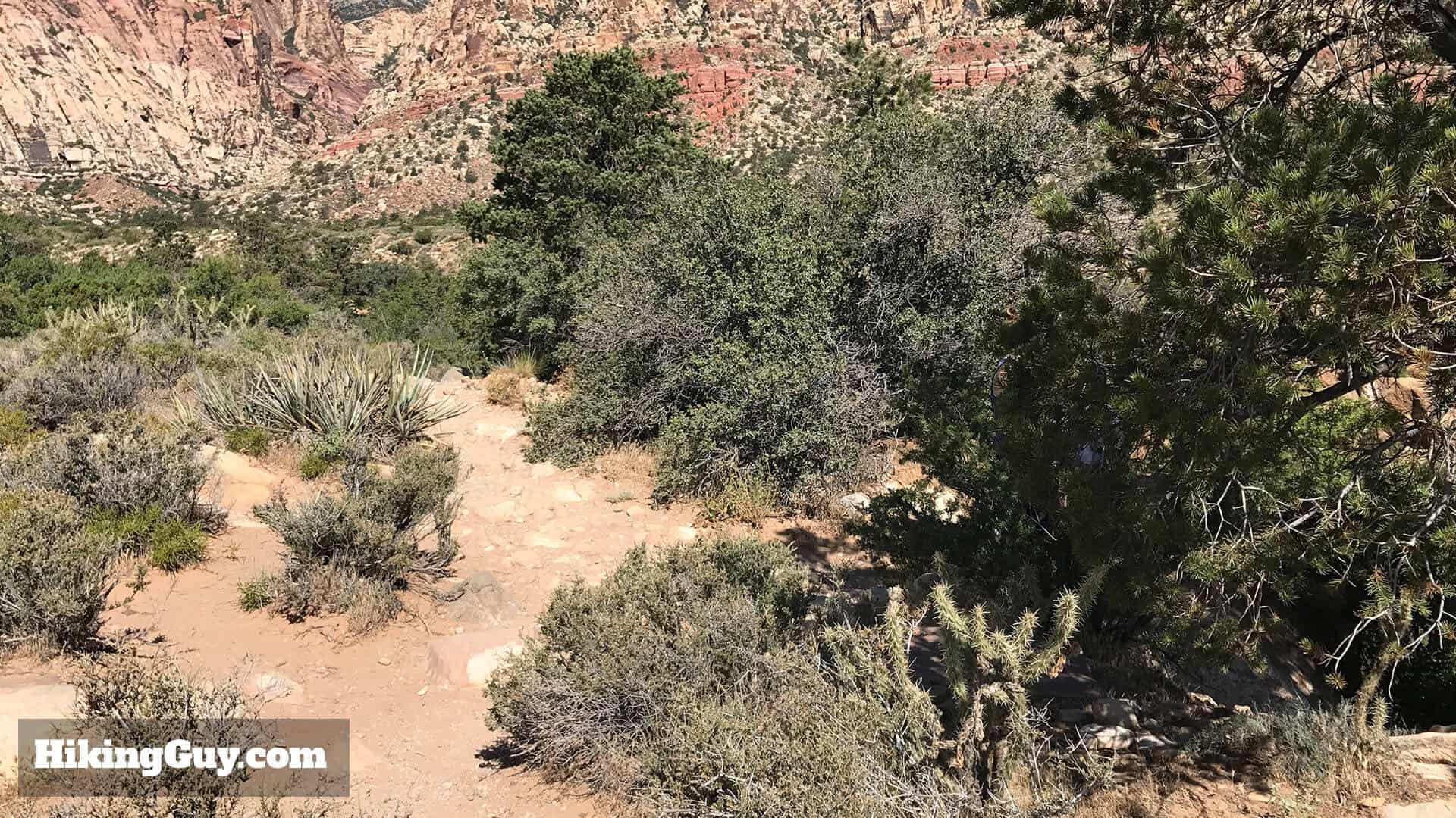 First Creek Canyon trail