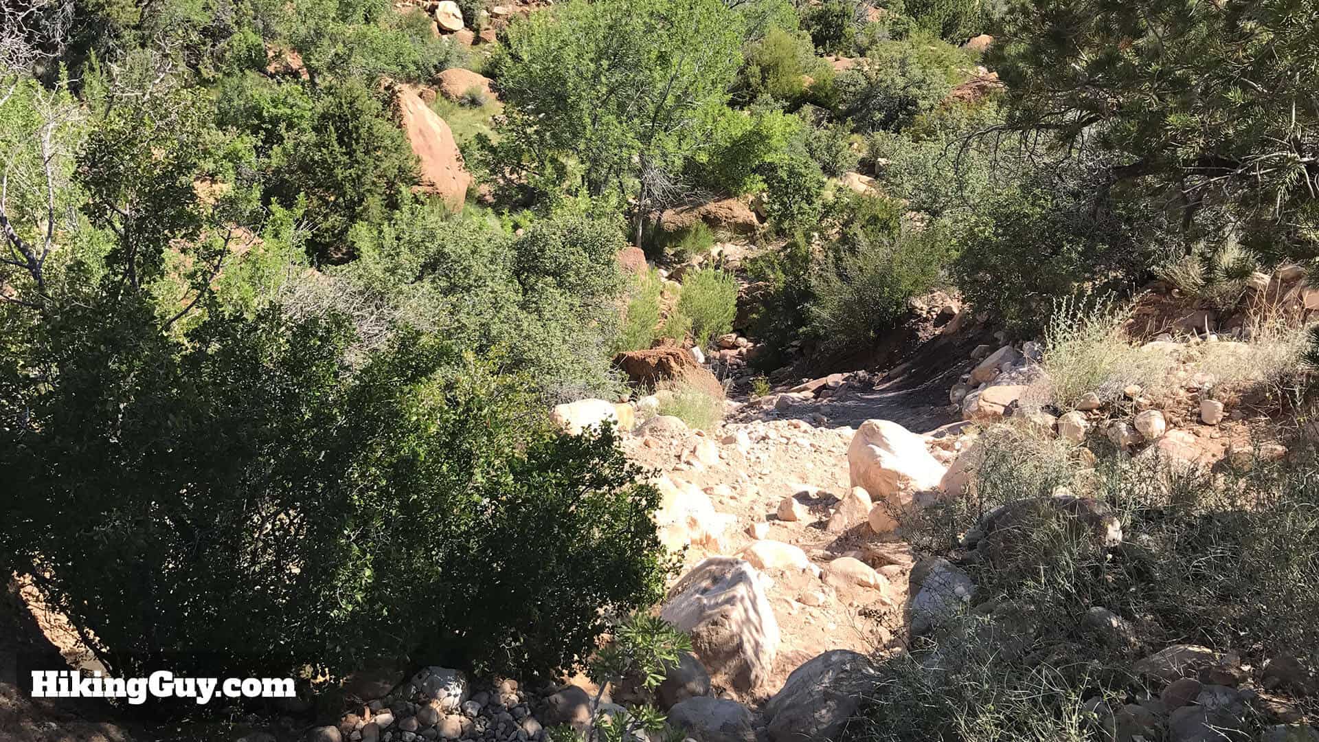 First Creek Canyon trail