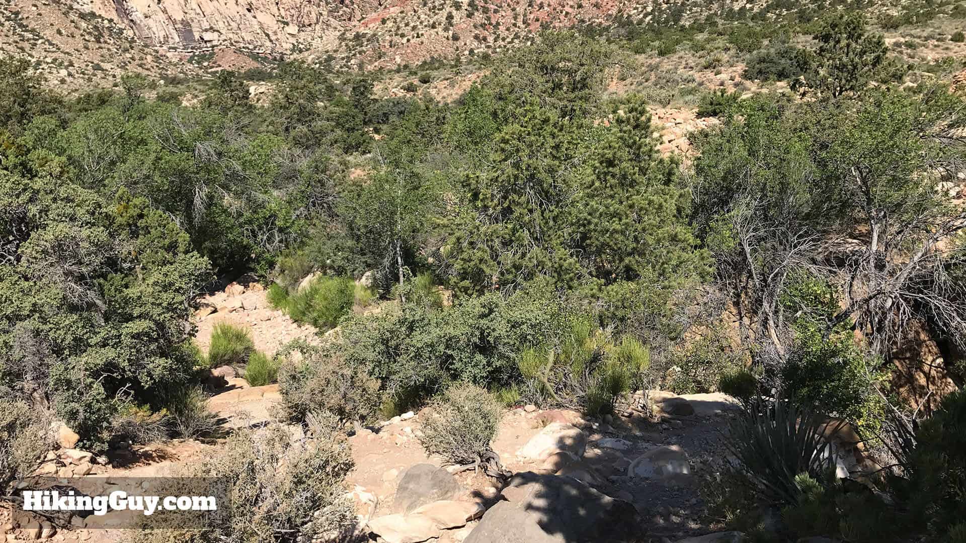First Creek Canyon trail