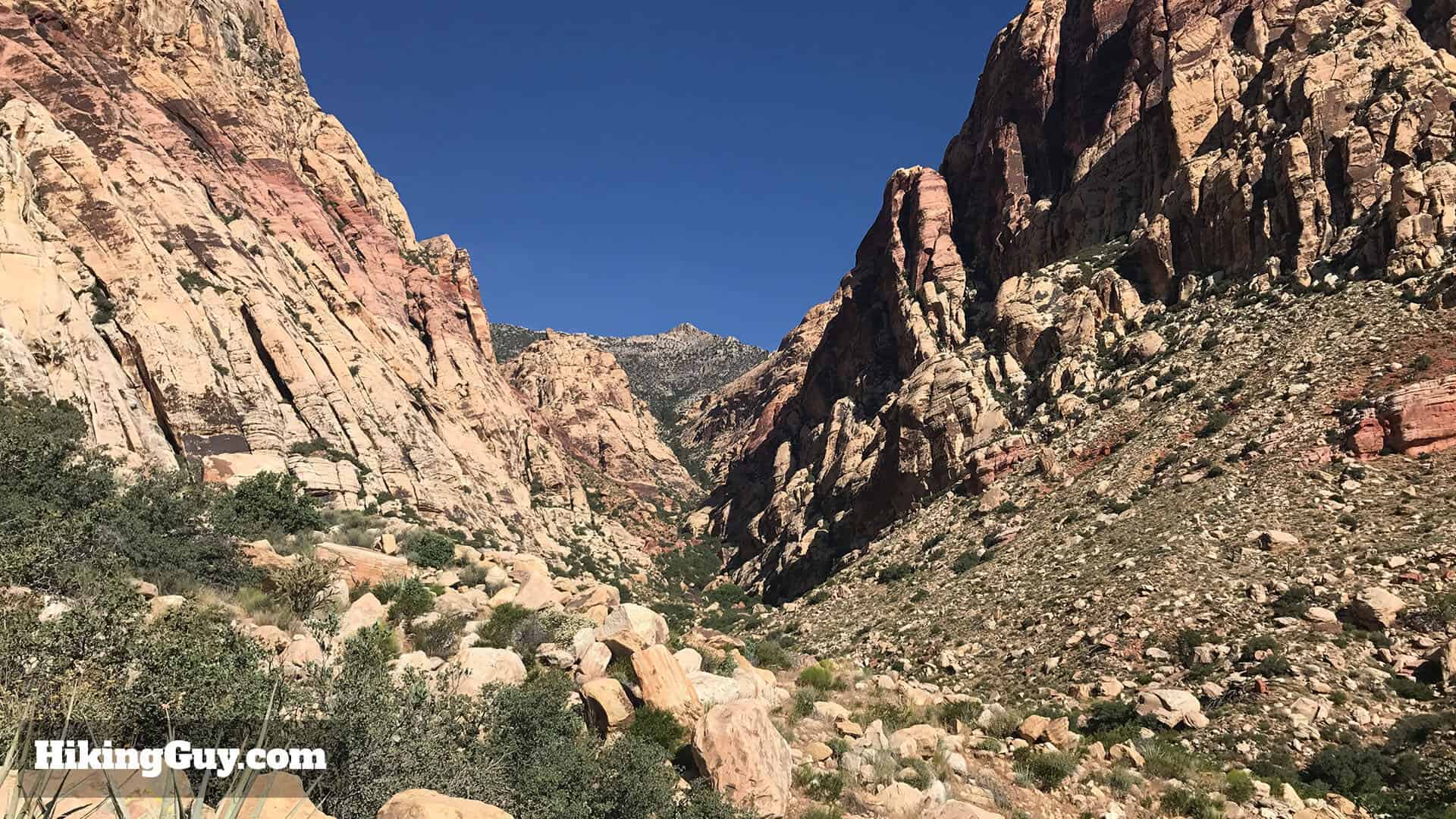 First Creek Canyon trail