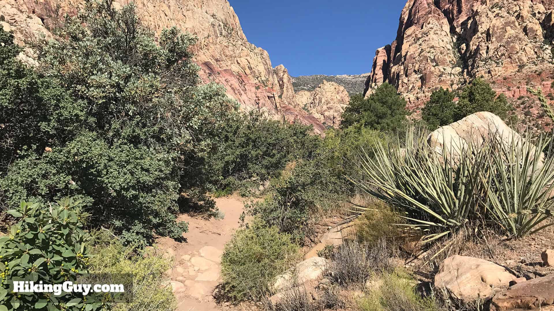 First Creek Canyon trail