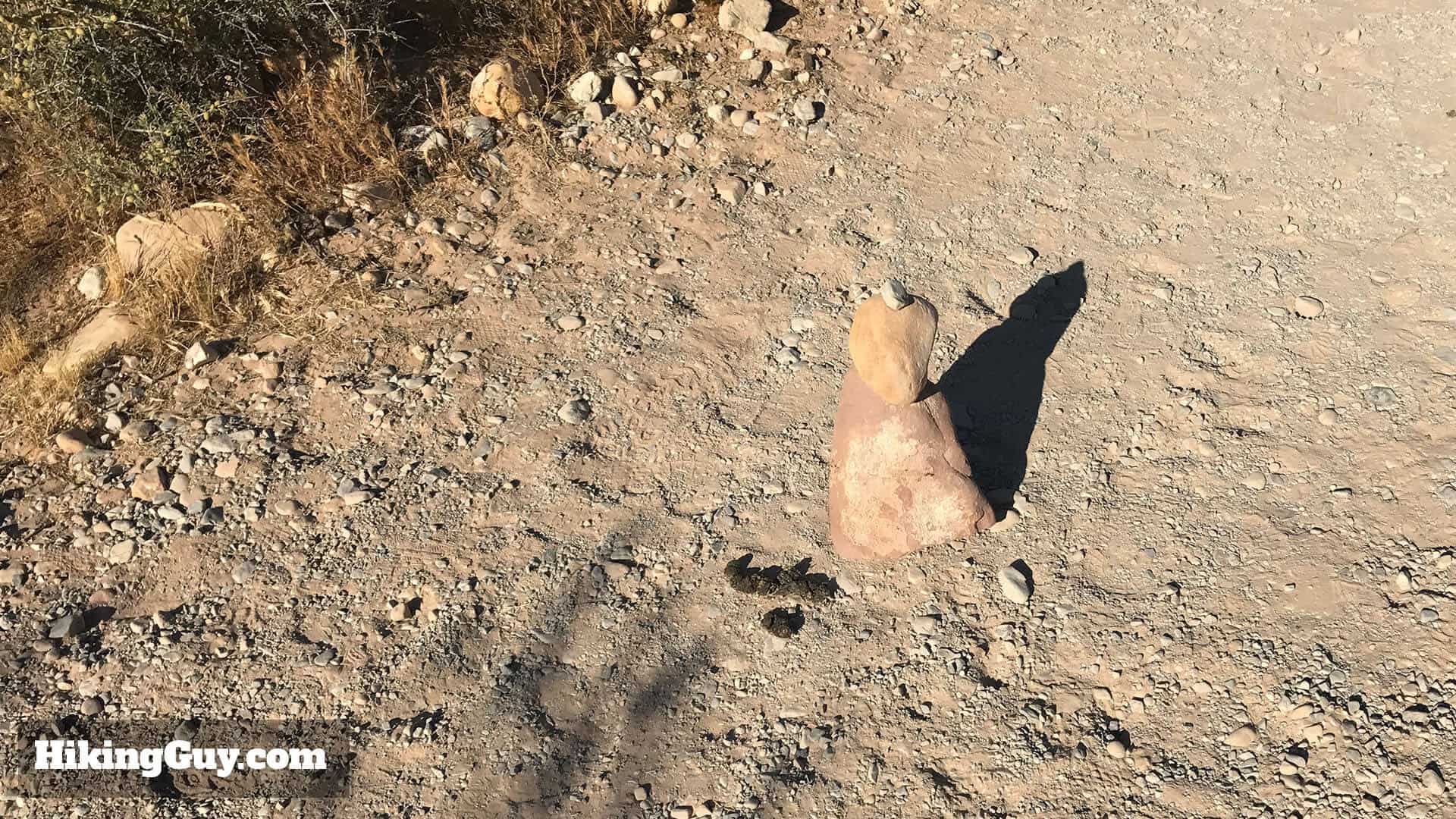 First Creek Canyon trail