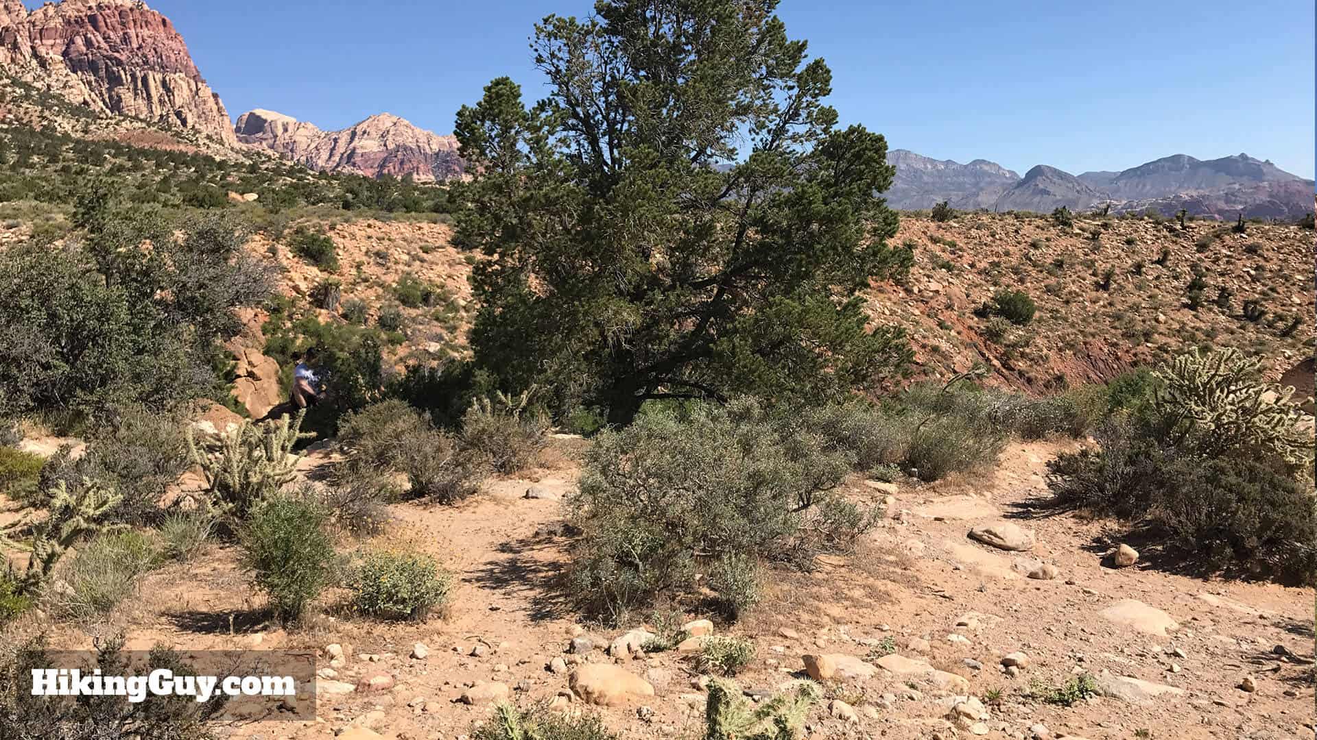 First Creek Canyon trail