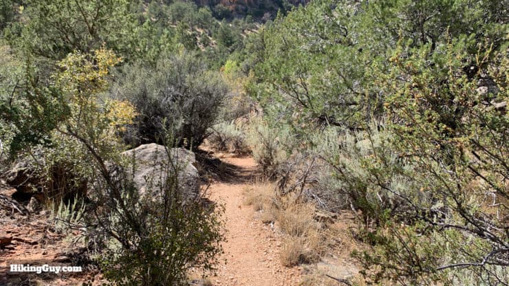 Hike Hermit Trail To Dripping Springs 26
