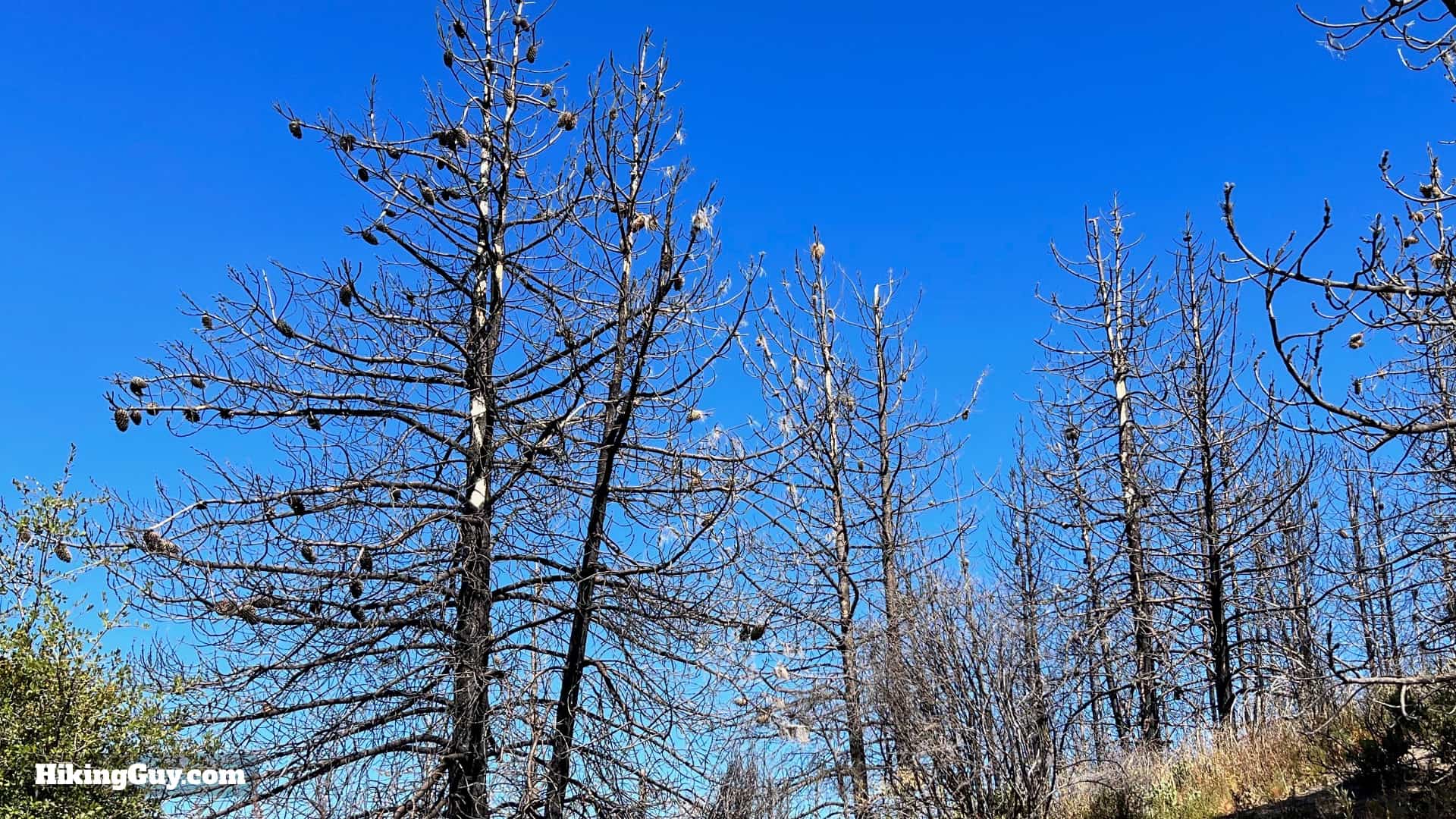 Hike Los Pinos Peak Hike Directions 2