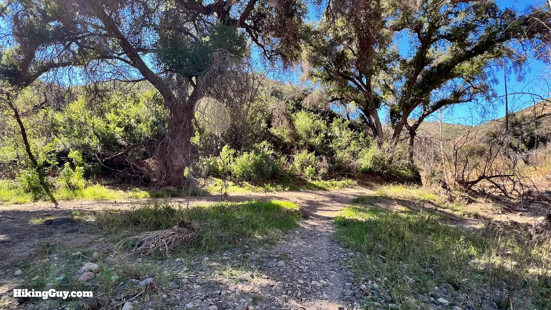 Hike Malibu Creek Rock Pool Mash Directions 47