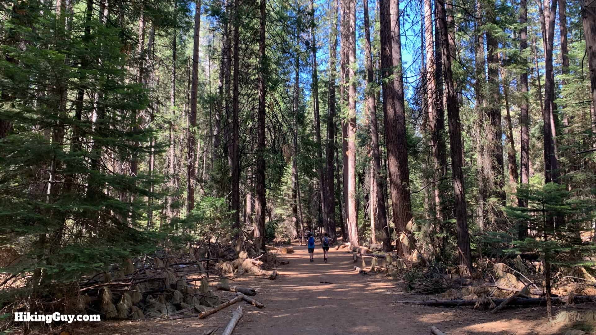 Hike Mirror Lake Trail Yosemite 4