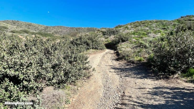 Hike Mugu Peak Trail 12