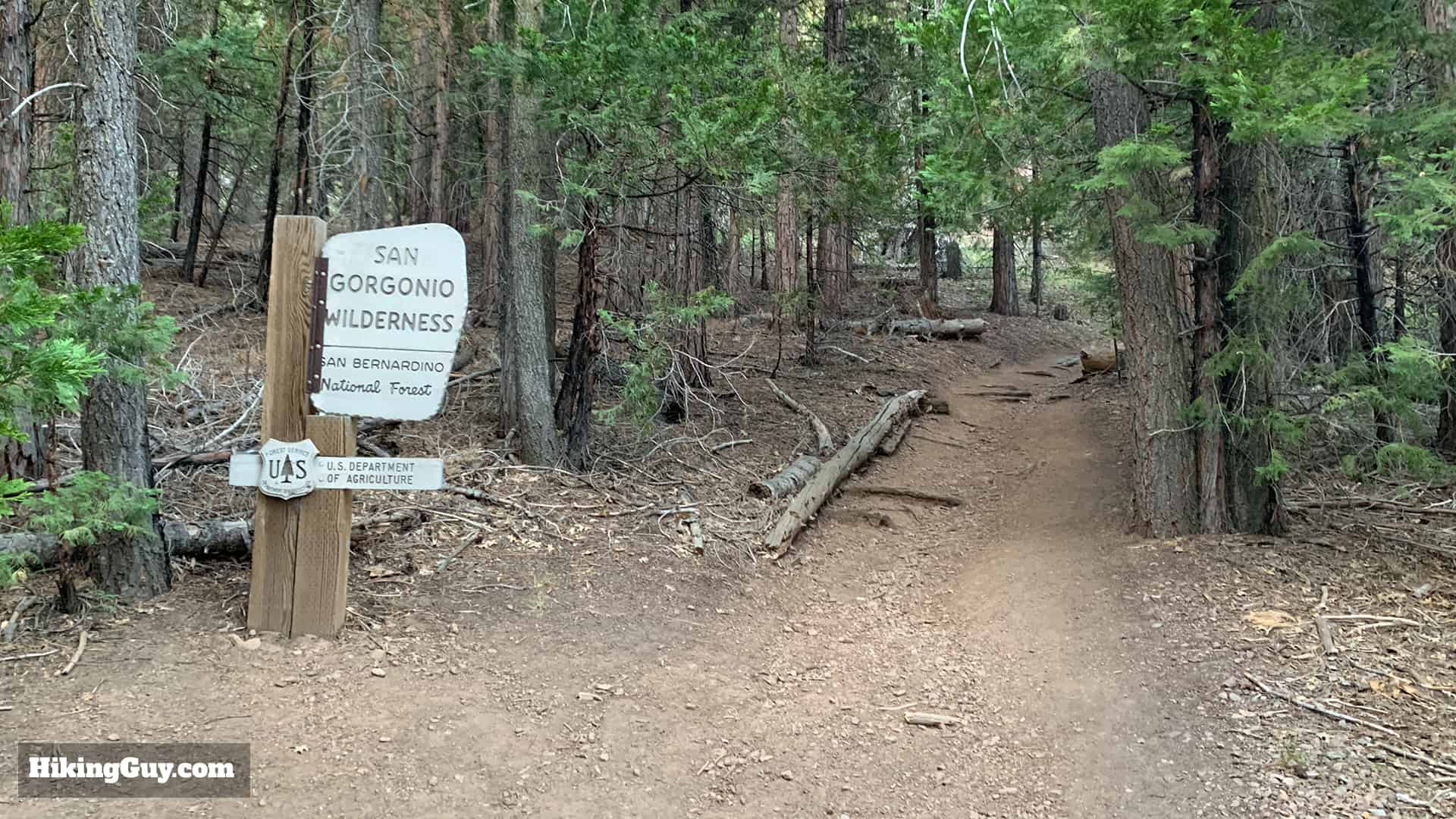 Hike San Bernardino East Peak From Forsee Creek Trail 10