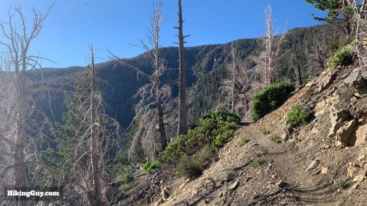 Hike San Bernardino East Peak From Forsee Creek Trail 19