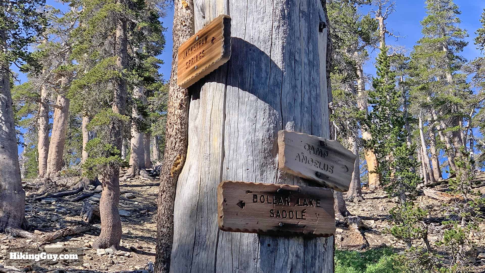 Hike San Bernardino East Peak From Forsee Creek Trail 24