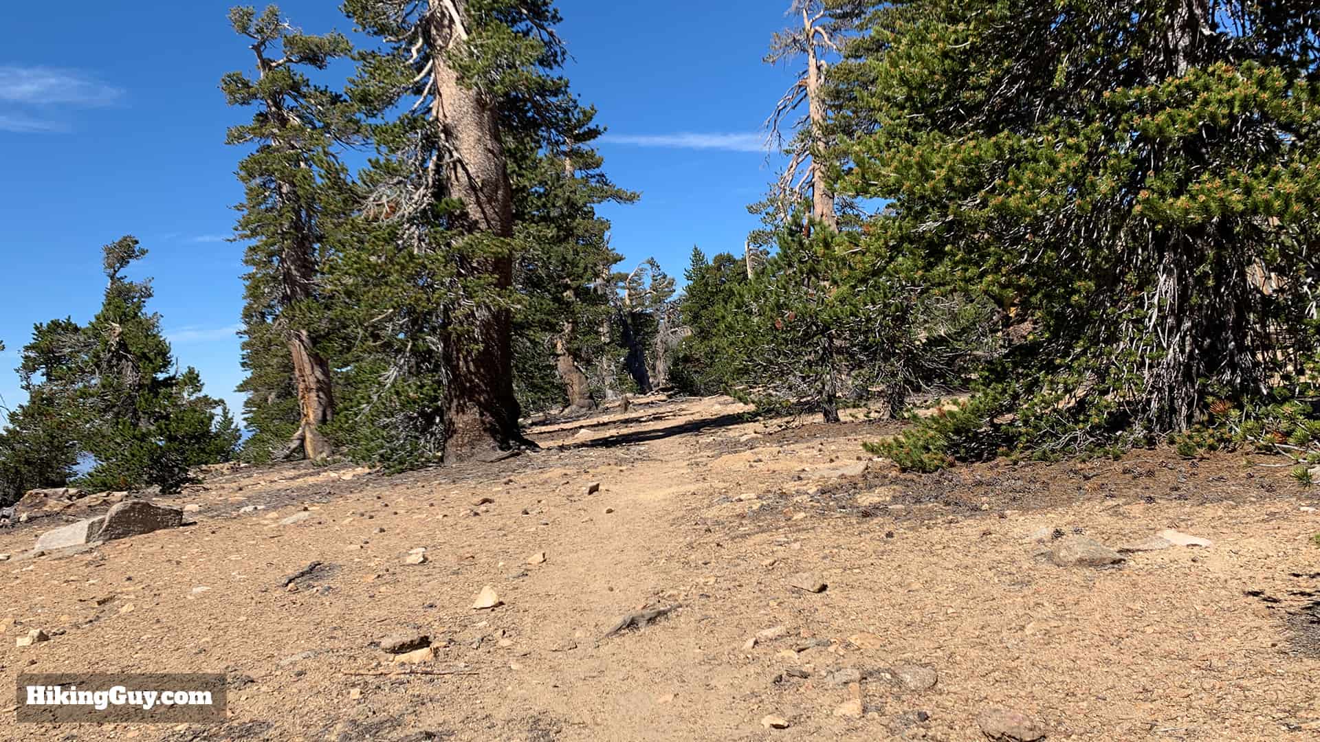 Hike San Bernardino East Peak From Forsee Creek Trail 29