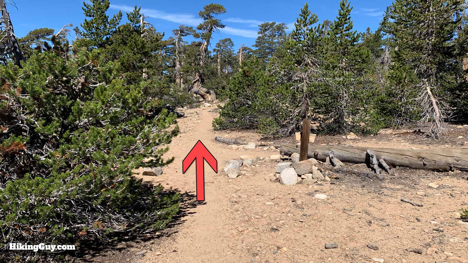 Hike San Bernardino East Peak From Forsee Creek Trail 30