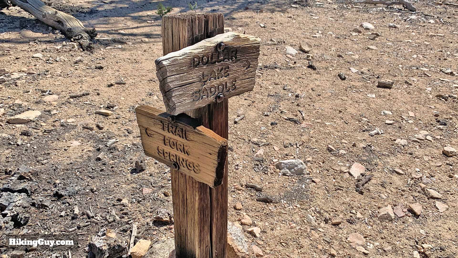 Hike San Bernardino East Peak From Forsee Creek Trail 31