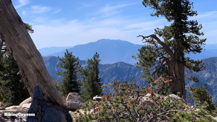 Hike San Bernardino East Peak From Forsee Creek Trail 32