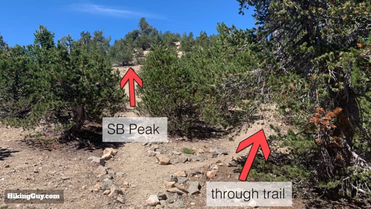 Hike San Bernardino East Peak From Forsee Creek Trail 42