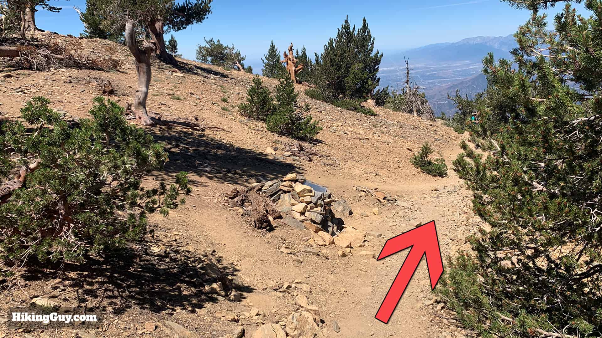 Hike San Bernardino East Peak From Forsee Creek Trail 44