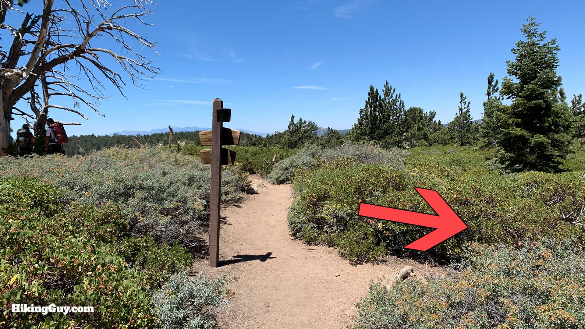 Hike San Bernardino East Peak From Forsee Creek Trail 47