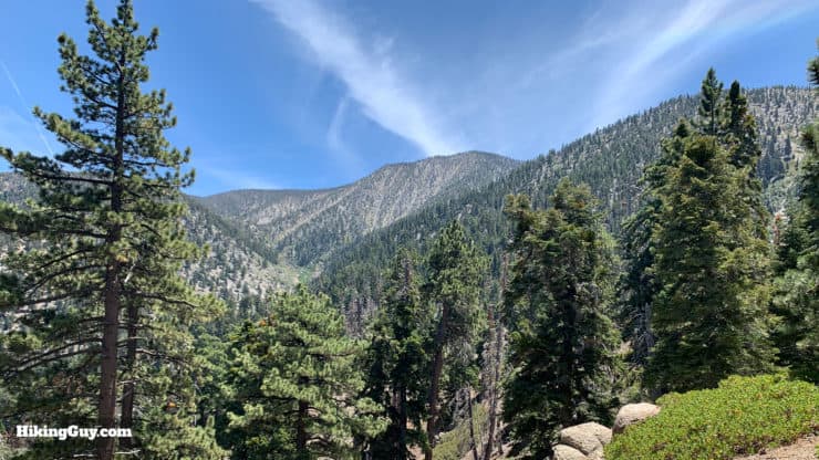 Hike San Bernardino East Peak From Forsee Creek Trail 51
