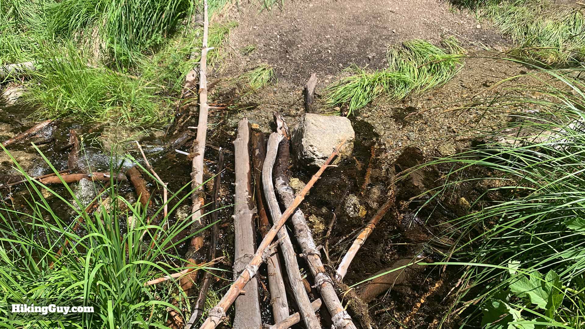 Hike San Bernardino East Peak From Forsee Creek Trail 52