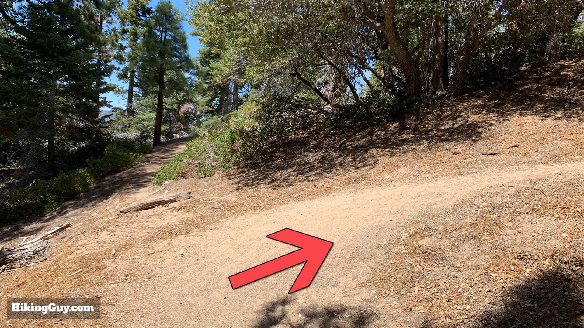 Hike San Bernardino East Peak From Forsee Creek Trail 57