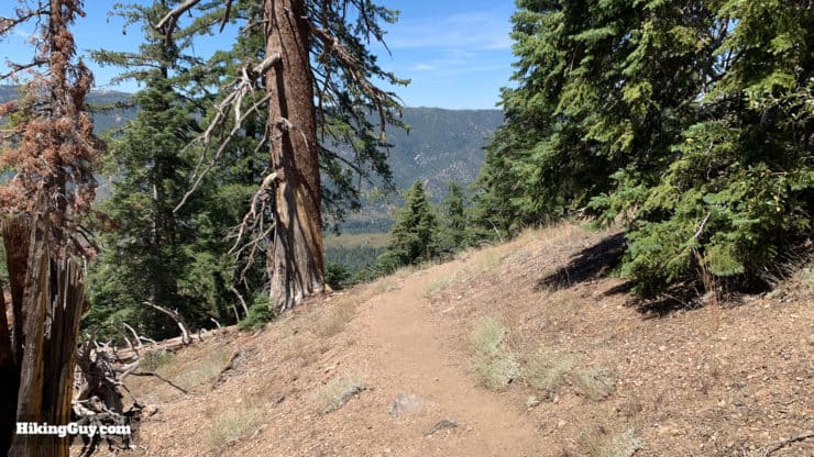 Hike San Bernardino East Peak From Forsee Creek Trail 58