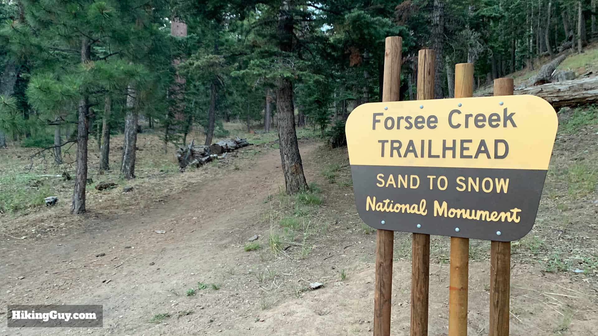 Hike San Bernardino East Peak From Forsee Creek Trail 7