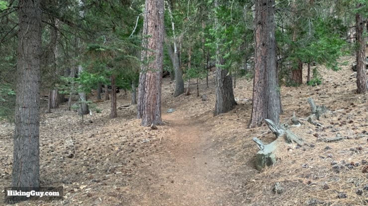 Hike San Bernardino East Peak From Forsee Creek Trail 8