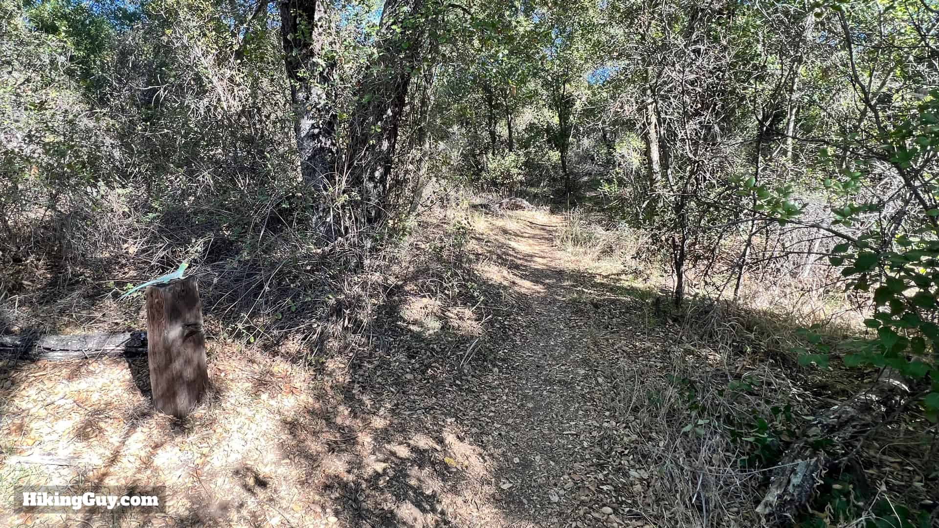 Hike San Mateo Peak Cleveland National Forest Direction A