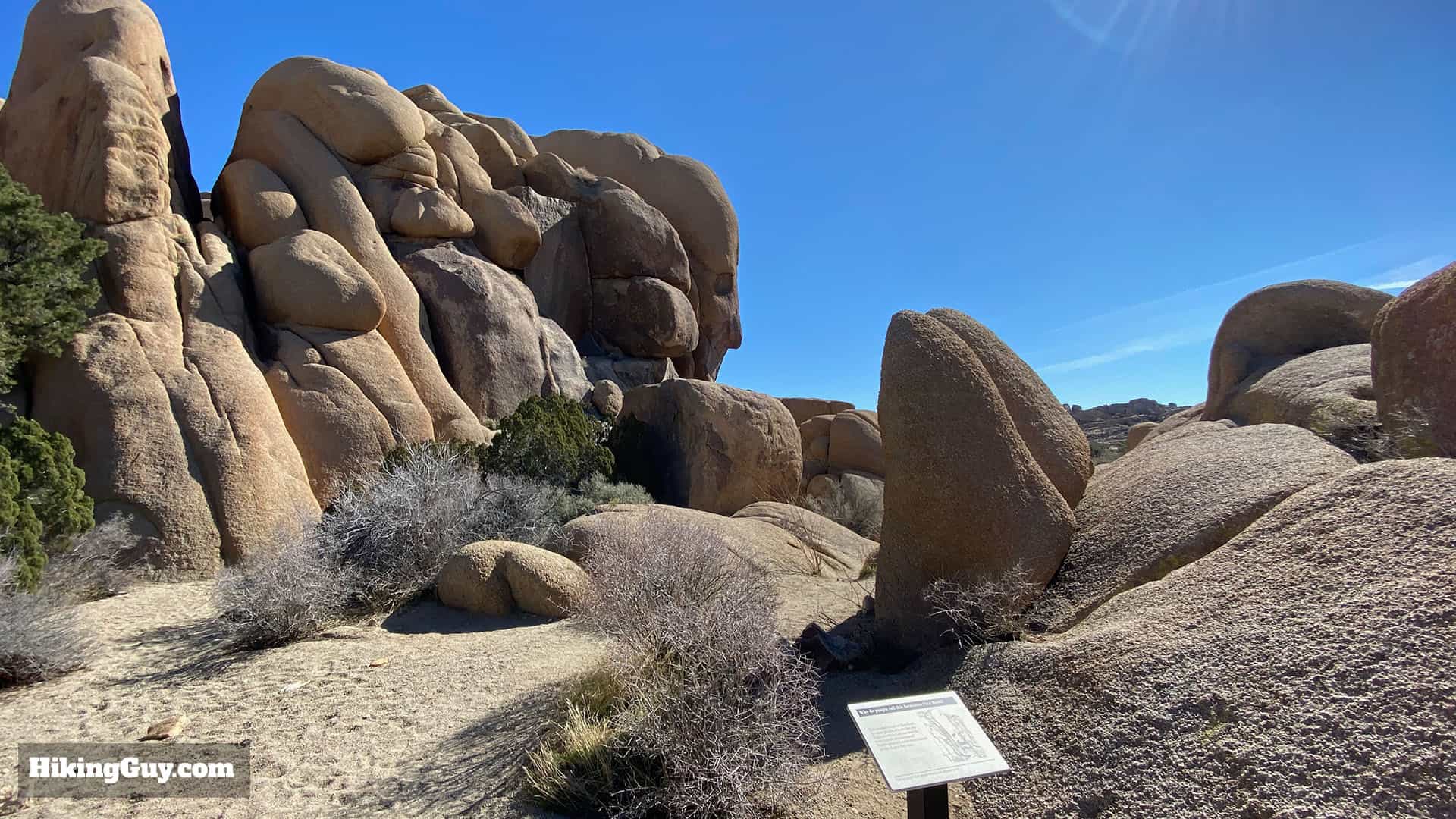 Hike Split Rock (Joshua Tree) Loop Trail