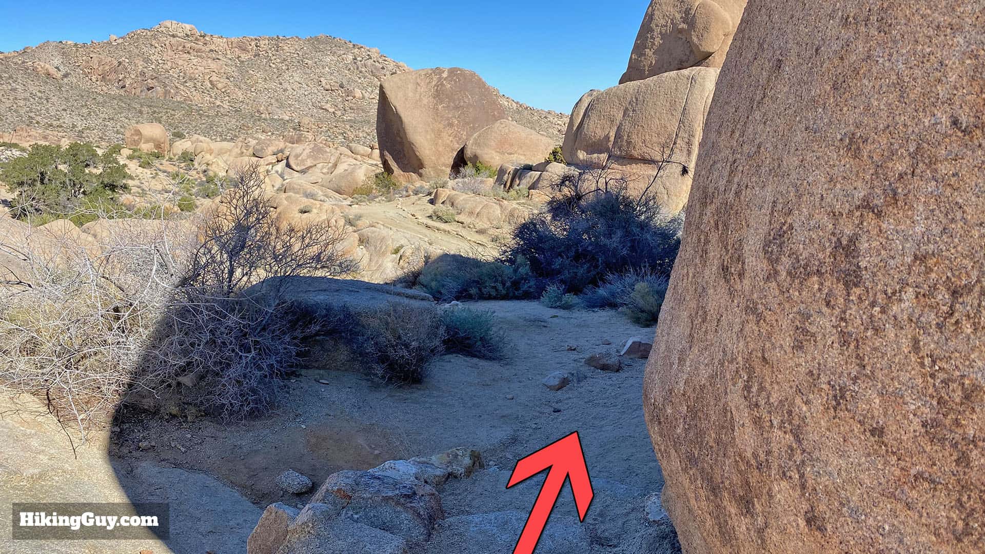 Hike Split Rock (Joshua Tree) Loop Trail