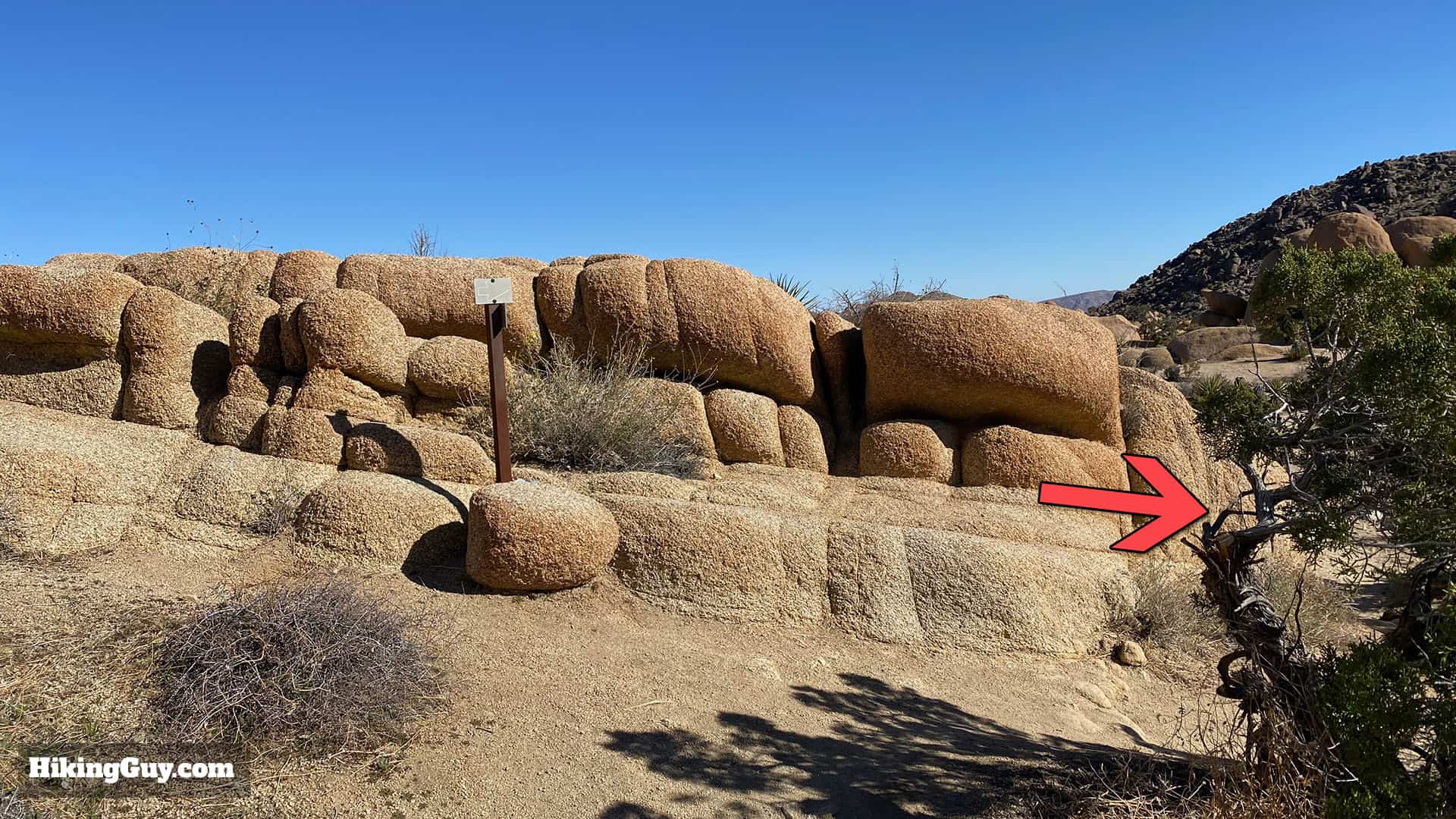 Hike Split Rock (Joshua Tree) Loop Trail