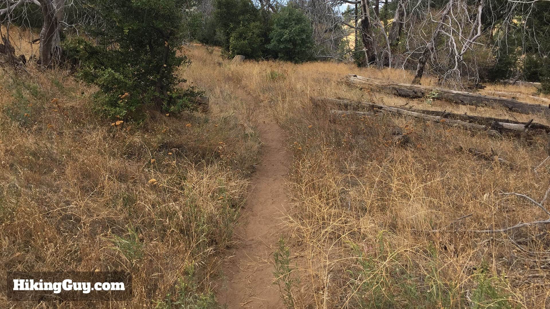 hiking stonewall peak trail