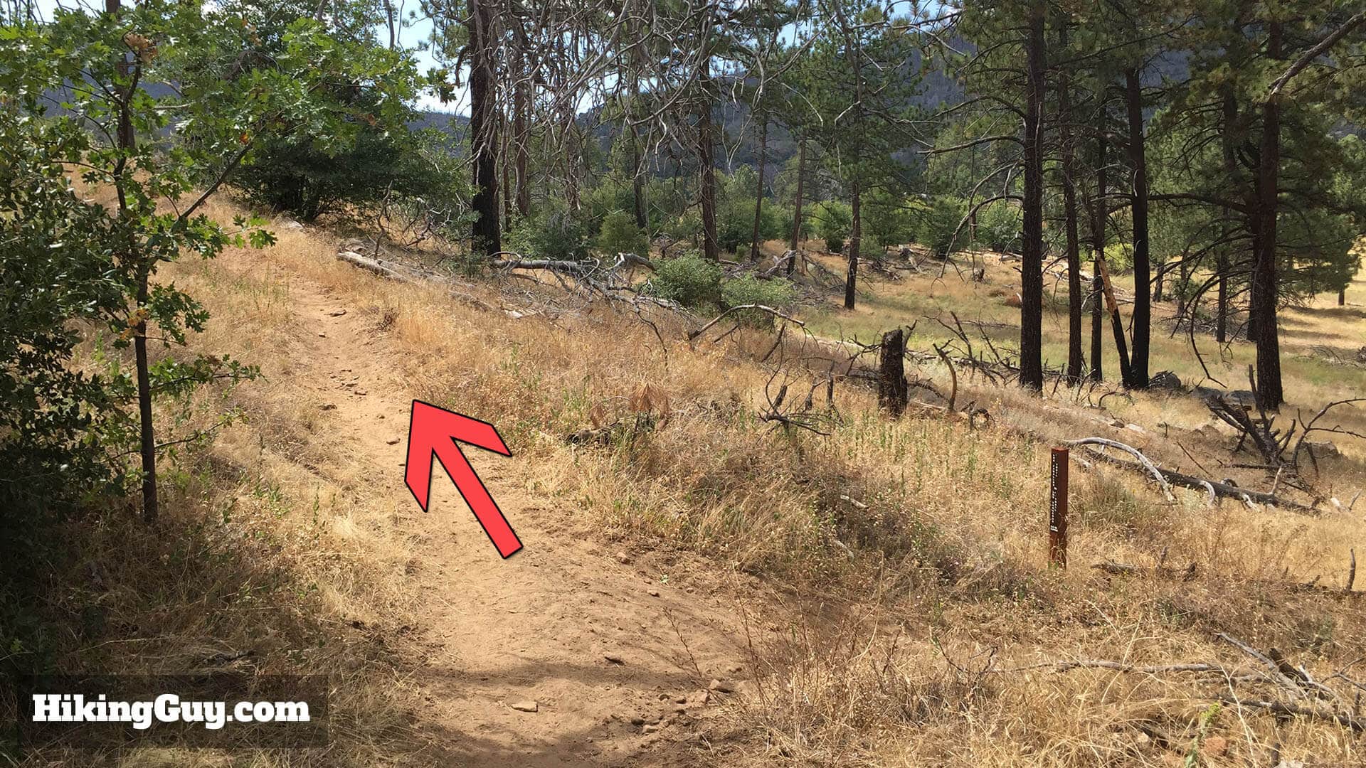 hiking stonewall peak trail
