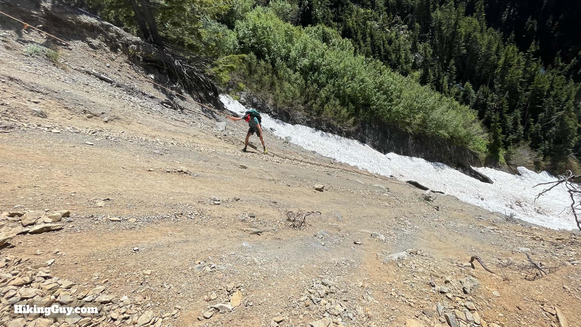 Hoh River Avalance Ladder 1