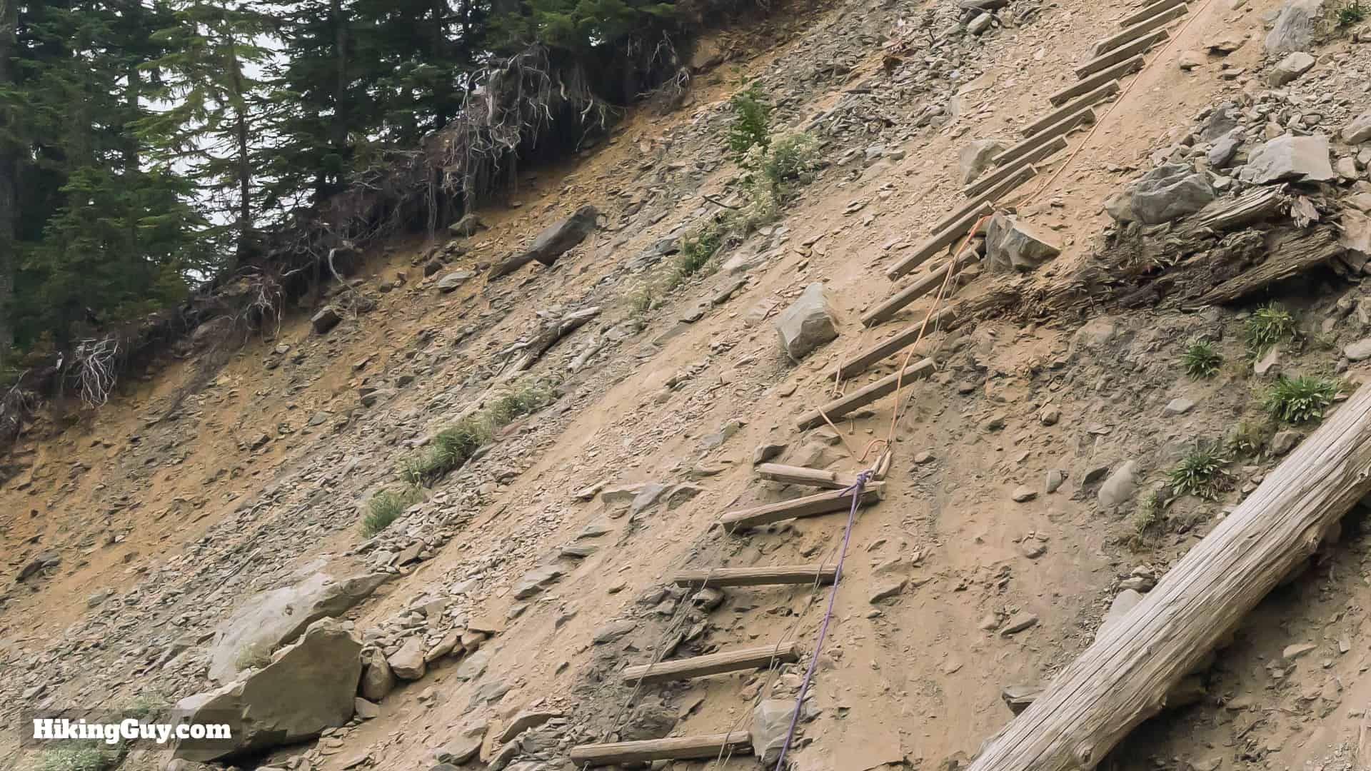 Hoh River Avalance Ladder 2